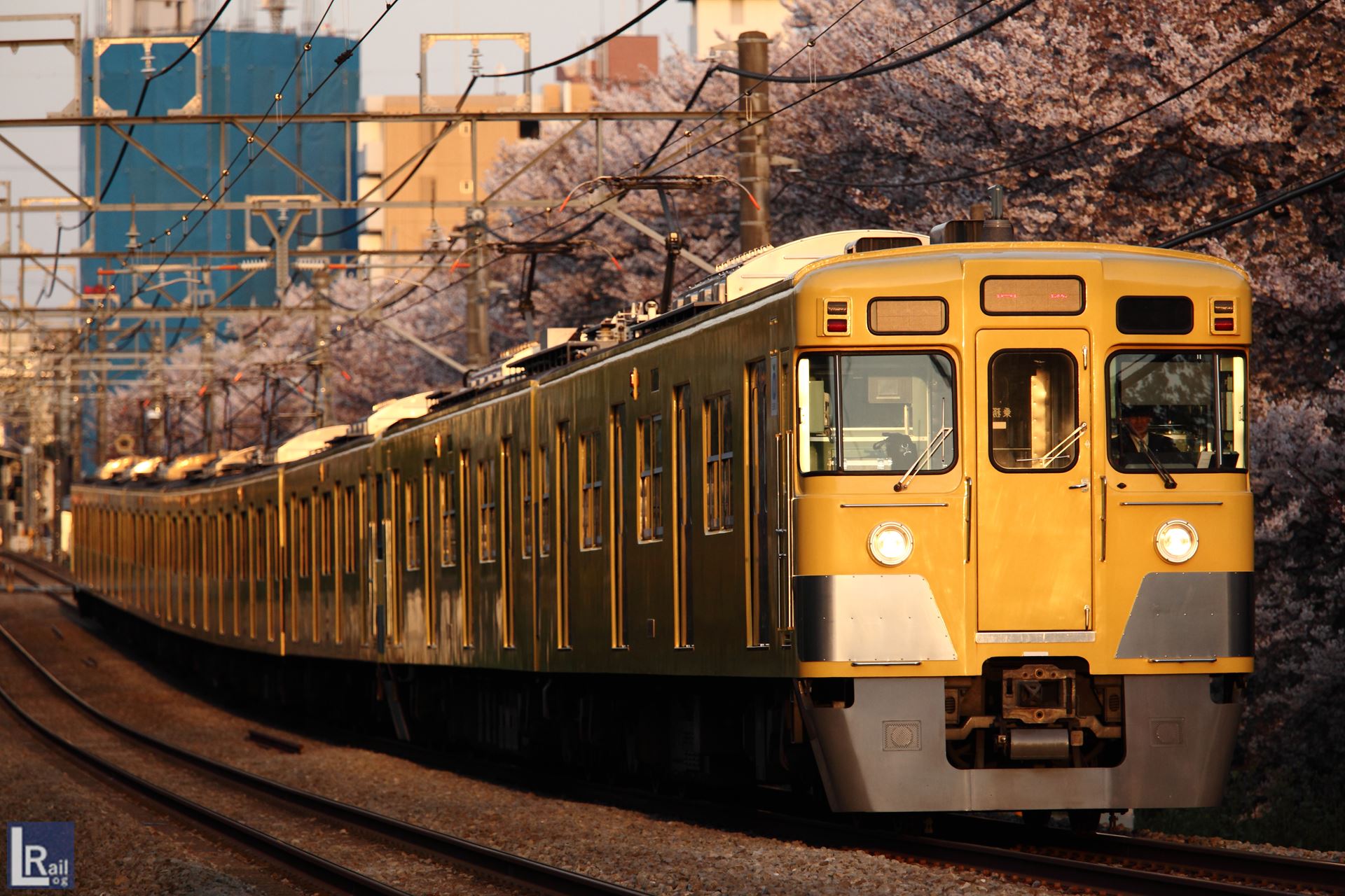 武蔵関の桜と西武新宿線、2000系(2011年）