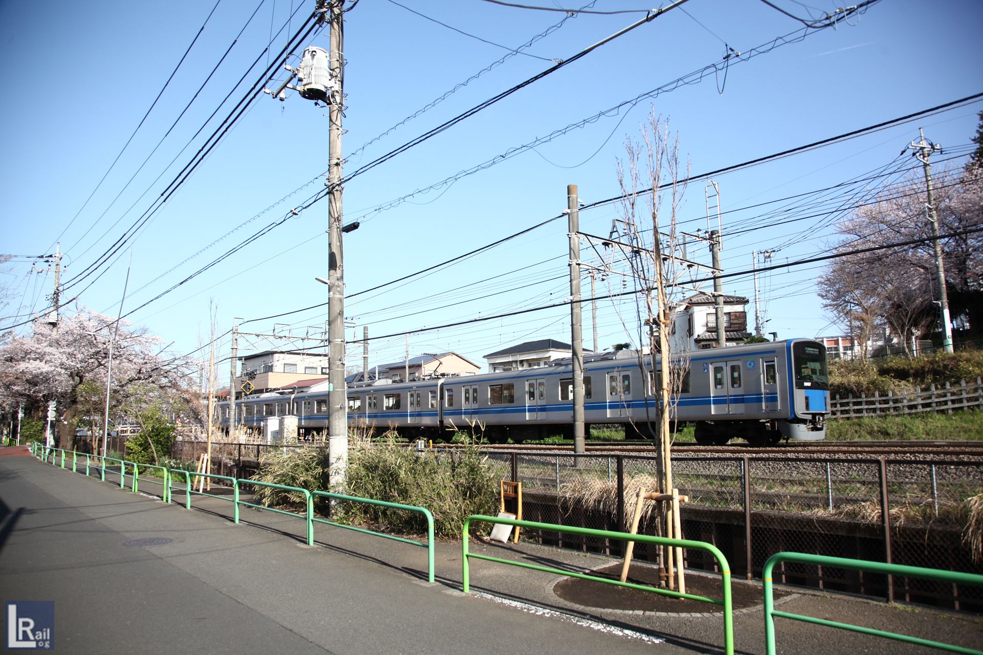 武蔵関の伐採された桜と西武新宿線、2022年春の様子