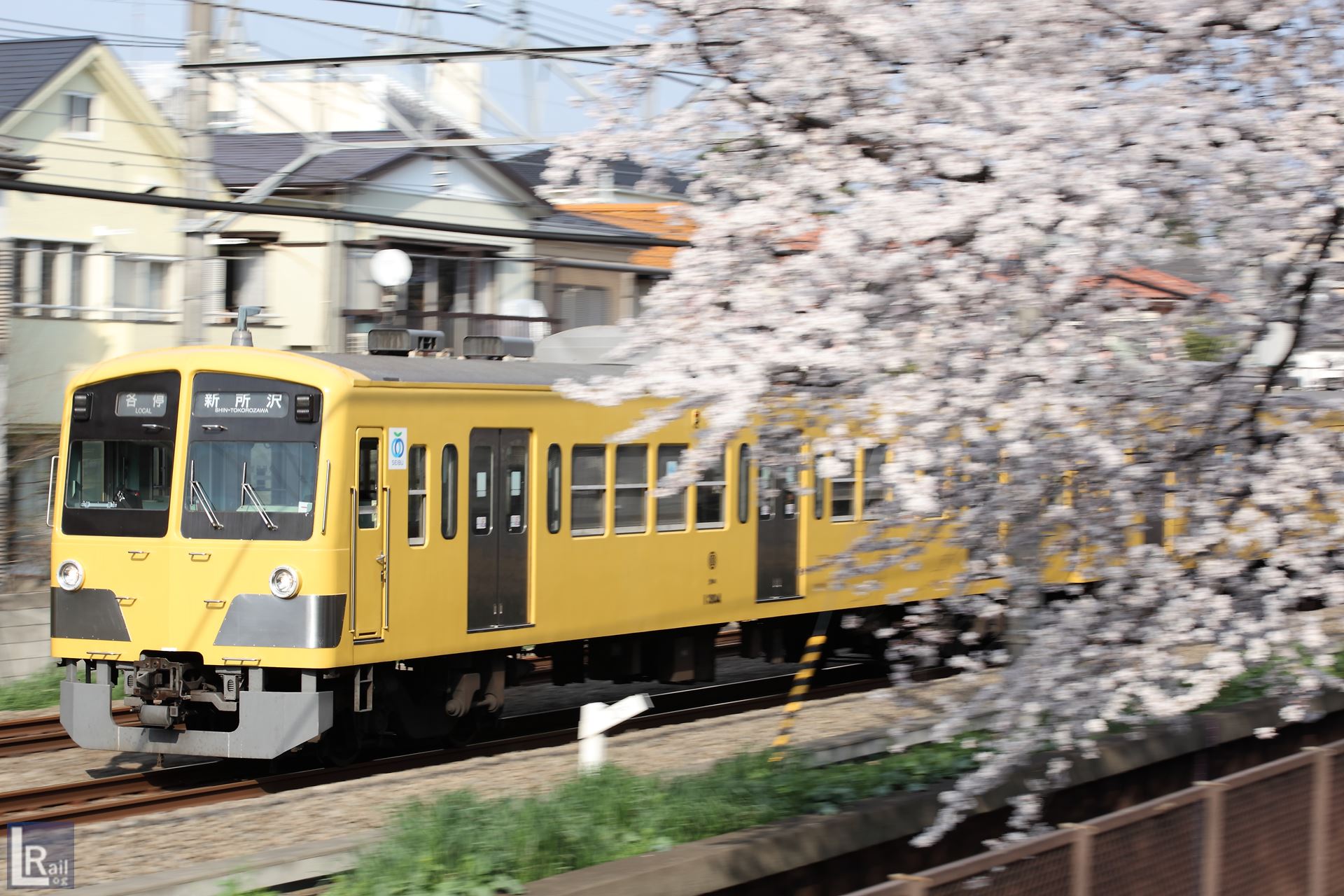 武蔵関の桜と西武新宿線、301系(2012年）